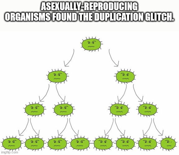 Shower Thoughts to Wash You Clean