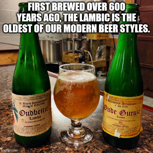 36 Fun Facts About Beer