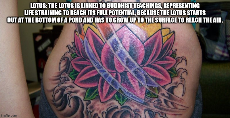 19 Yakuza Tattoos & Their Meanings