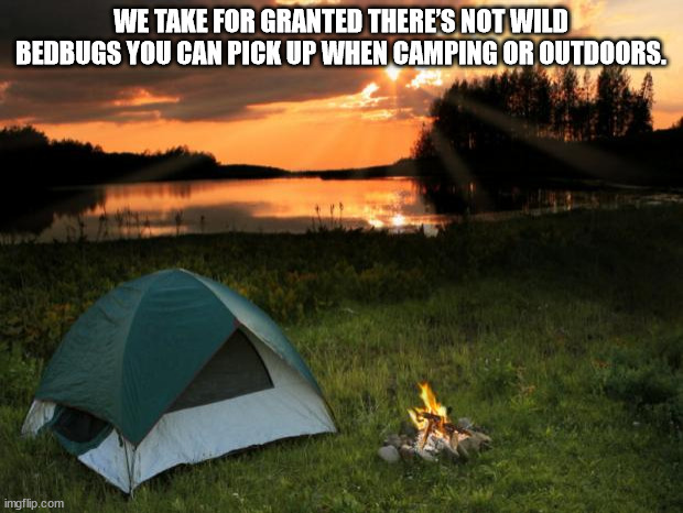 Shower Thoughts to Wet Your Wednesday