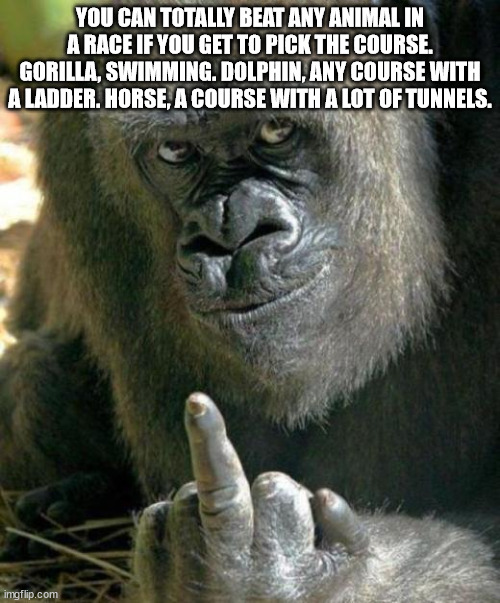 Shower Thoughts to Wet Your Wednesday