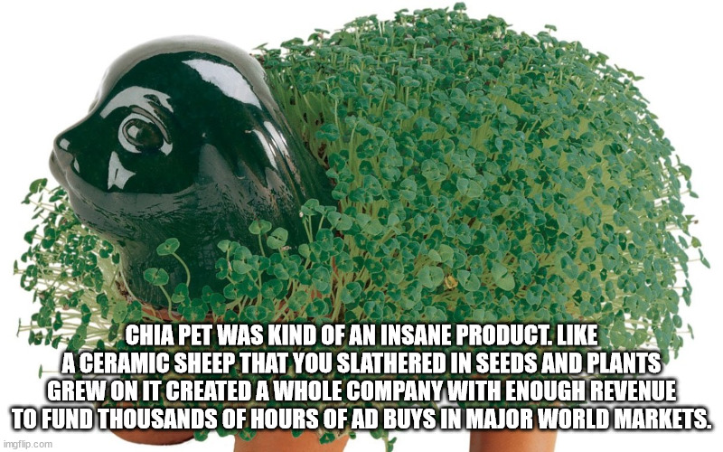 Shower Thoughts to Wet Your Wednesday