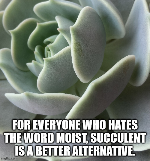 Shower Thoughts to Wet Your Wednesday