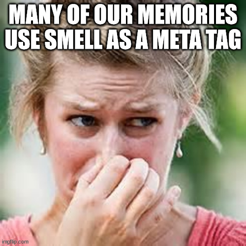 Shower Thoughts For Your Day