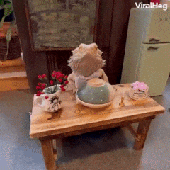 Moving Image Mayhem (Animal Edition)