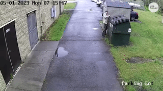 Moving Image Mayhem (Animal Edition)