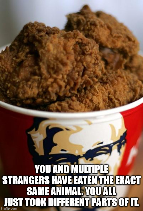 20 Shower Thoughts from Today