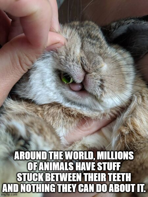 20 Shower Thoughts from Today