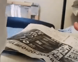 Moving Image Mayhem (Animal Edition)