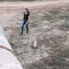 Moving Image Mayhem (Animal Edition)