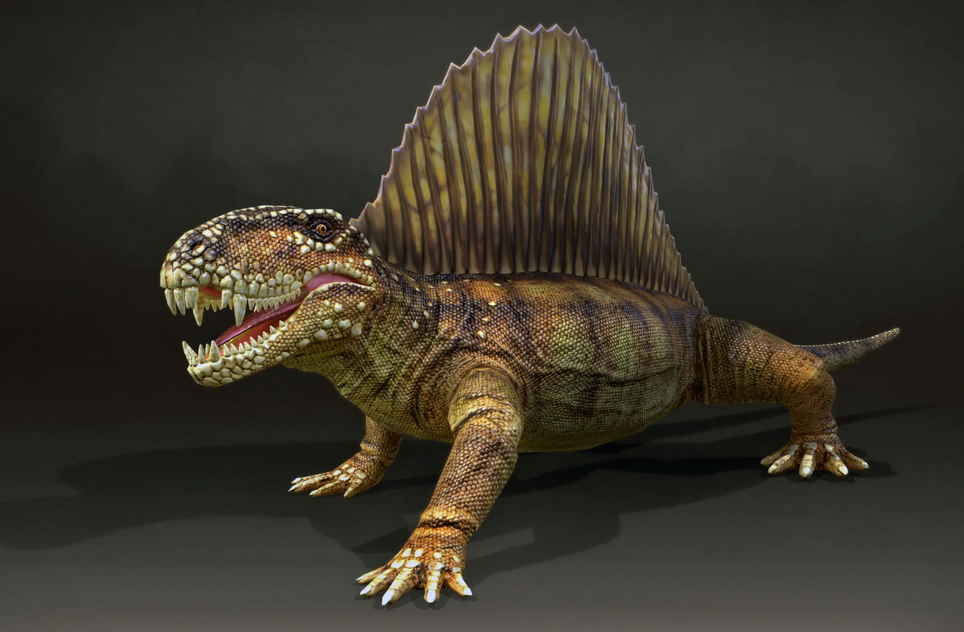 10 Prehistoric Reptiles People Mistakenly Believe Were Dinosaurs