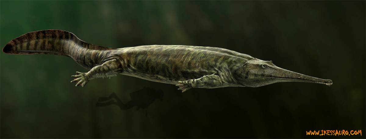 10 Prehistoric Reptiles People Mistakenly Believe Were Dinosaurs