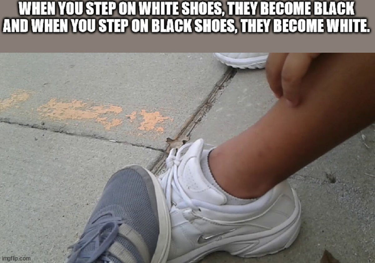 Shower Thoughts To Drip Dry Gallery eBaum's World