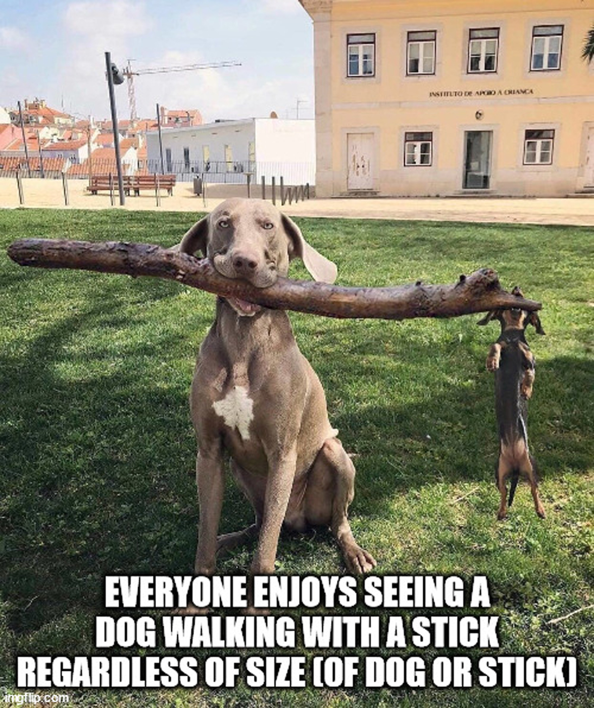 Shower Thoughts for Naked Philosophers