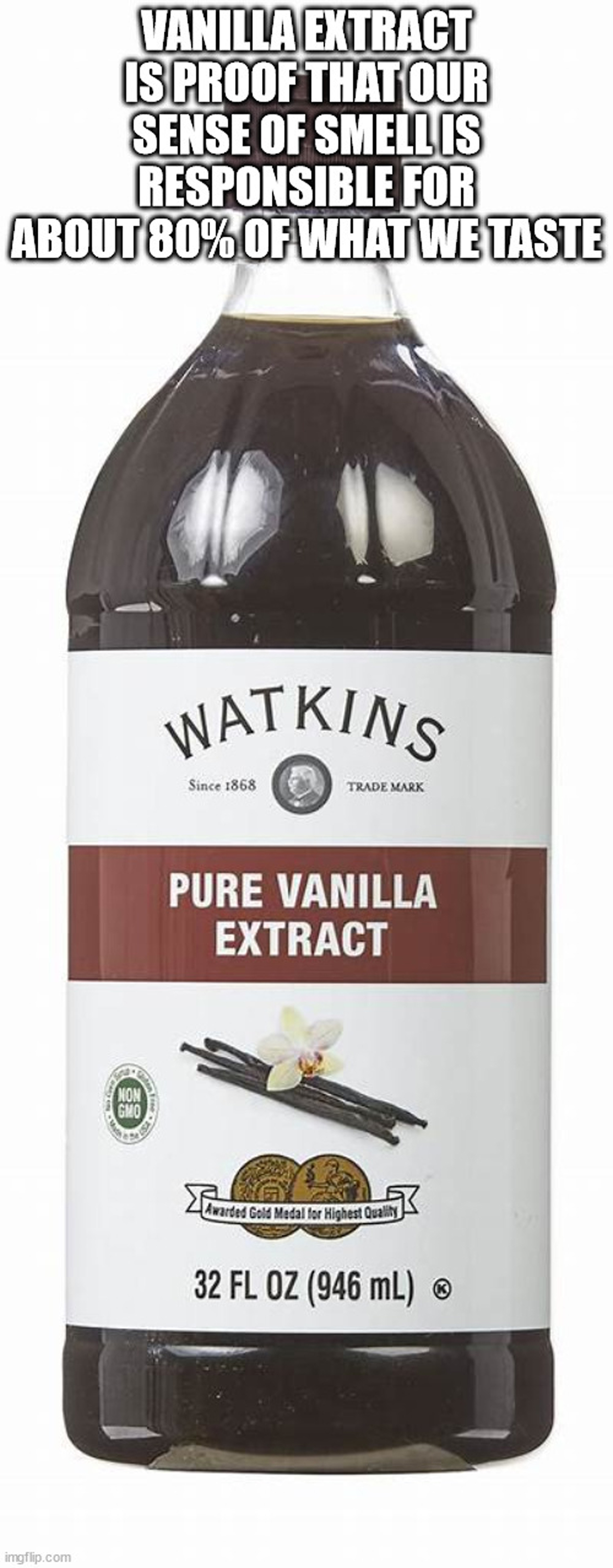 Shower Thoughts for Naked Philosophers