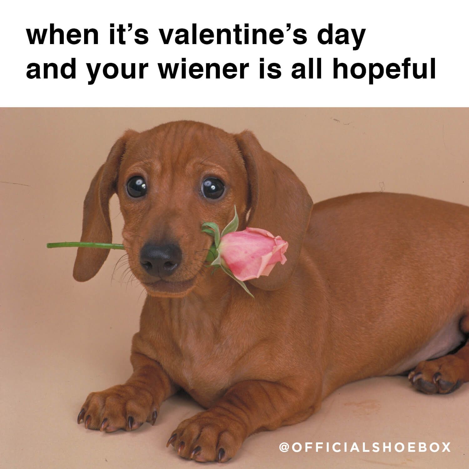 38 Valentine Memes and E-Cards
