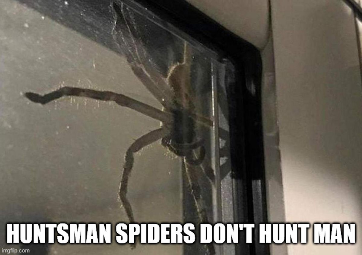 20 Shower Thoughts to Wet Your Wednesday