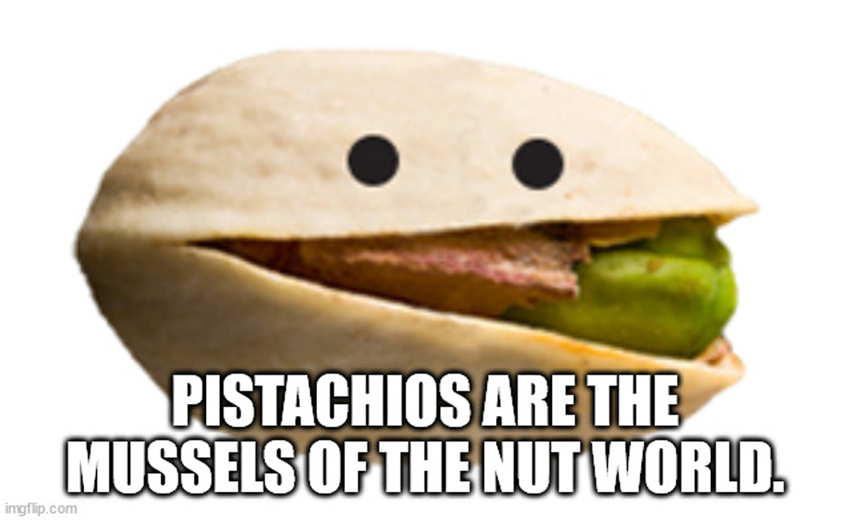 20 Shower Thoughts to Wet Your Wednesday