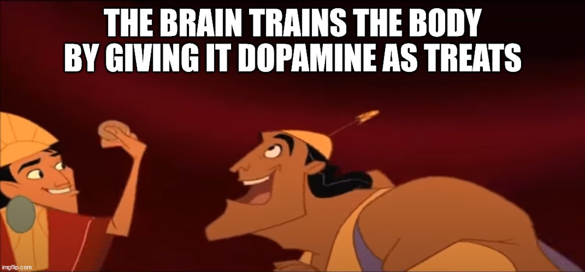 20 Shower Thoughts to Wet Your Wednesday