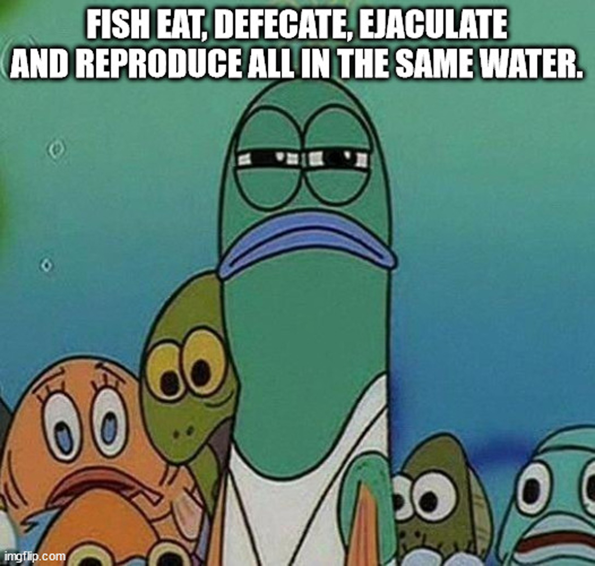 20 Shower Thoughts to Wet Your Wednesday