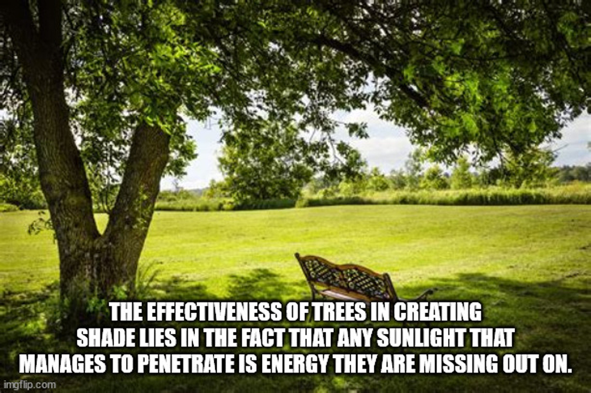 20 Shower Thoughts to Wet Your Wednesday