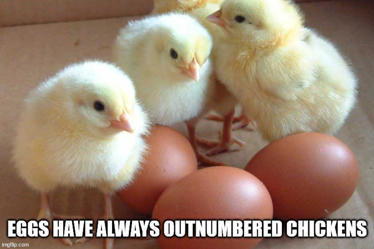 20 Shower Thoughts to Wet Your Wednesday