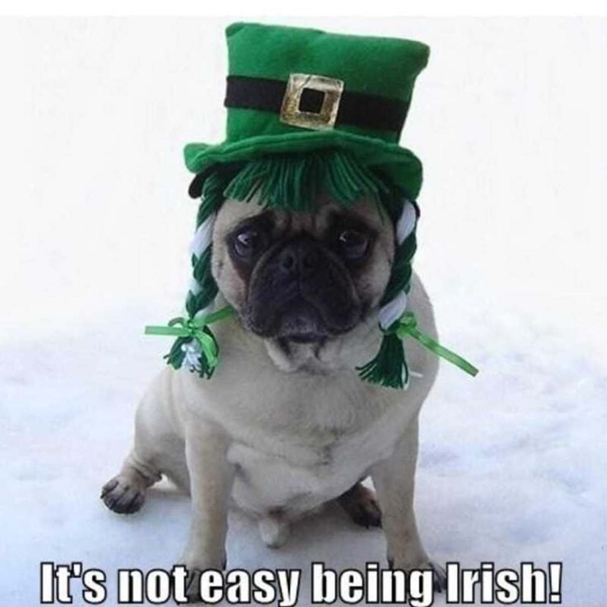 30 St. Patrick's Day Memes for Shenanigans Purposes