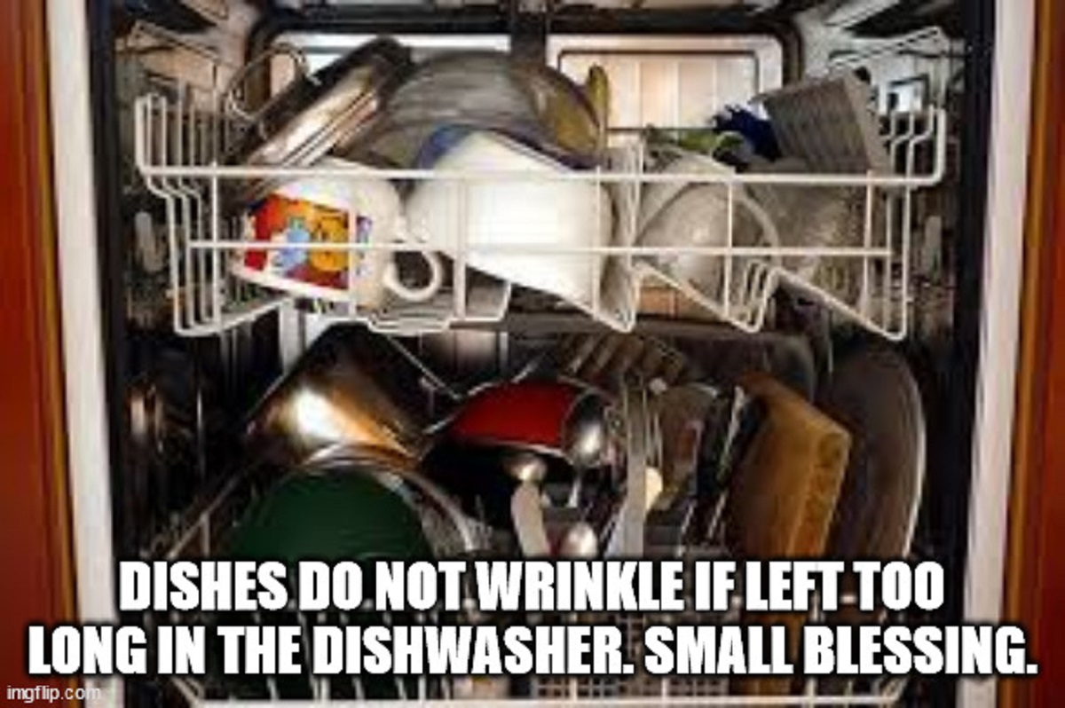 rearrange dishwasher meme - Dishes Do Not.Wrinkle If LeftToo Long In The Dishwasher. Small Blessing. imgflip.com
