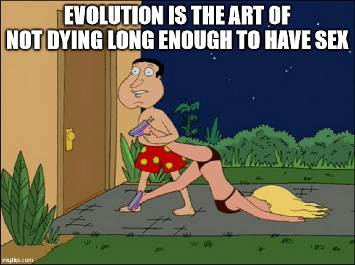 you finally meet your online crush - Evolution Is The Art Of Not Dying Long Enough To Have Sex imgflip.com 544 117 We ke