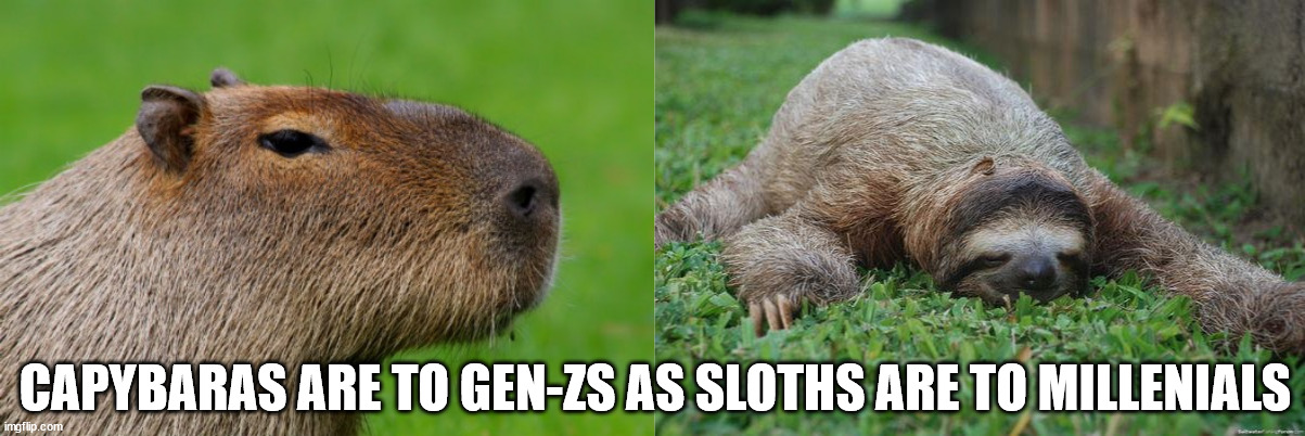 groundhog - Capybaras Are To GenZs As Sloths Are To Millenials imgflip.com