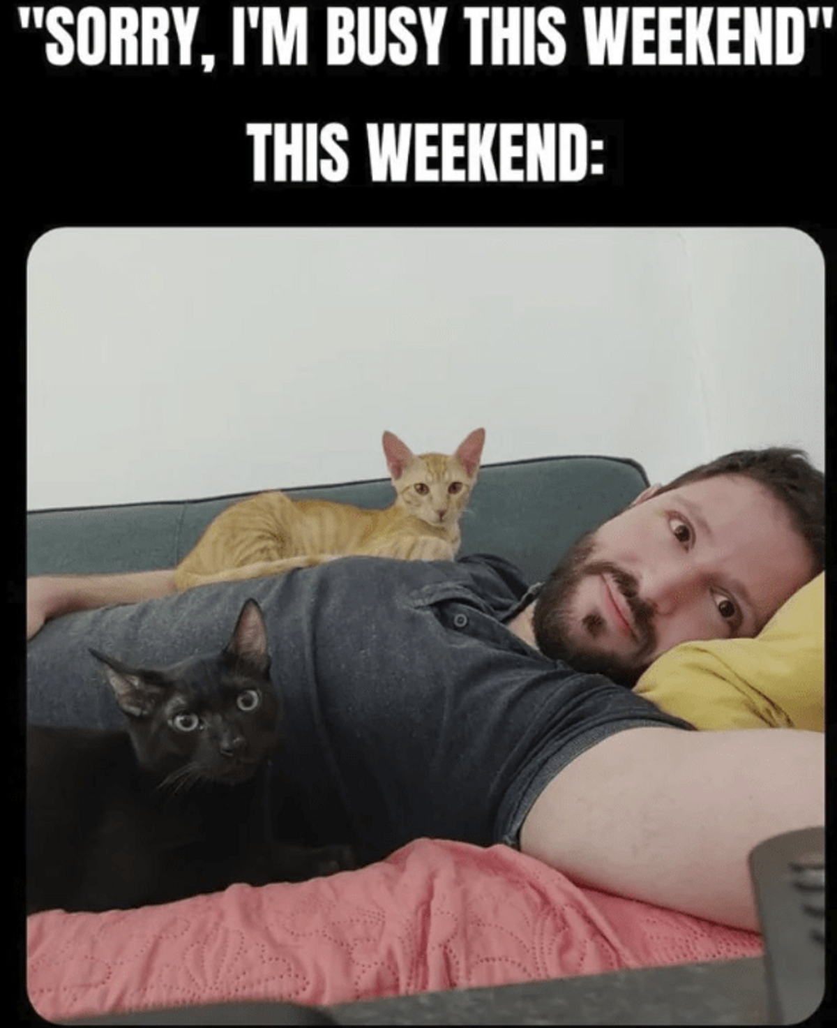 Caturday 5-4-24