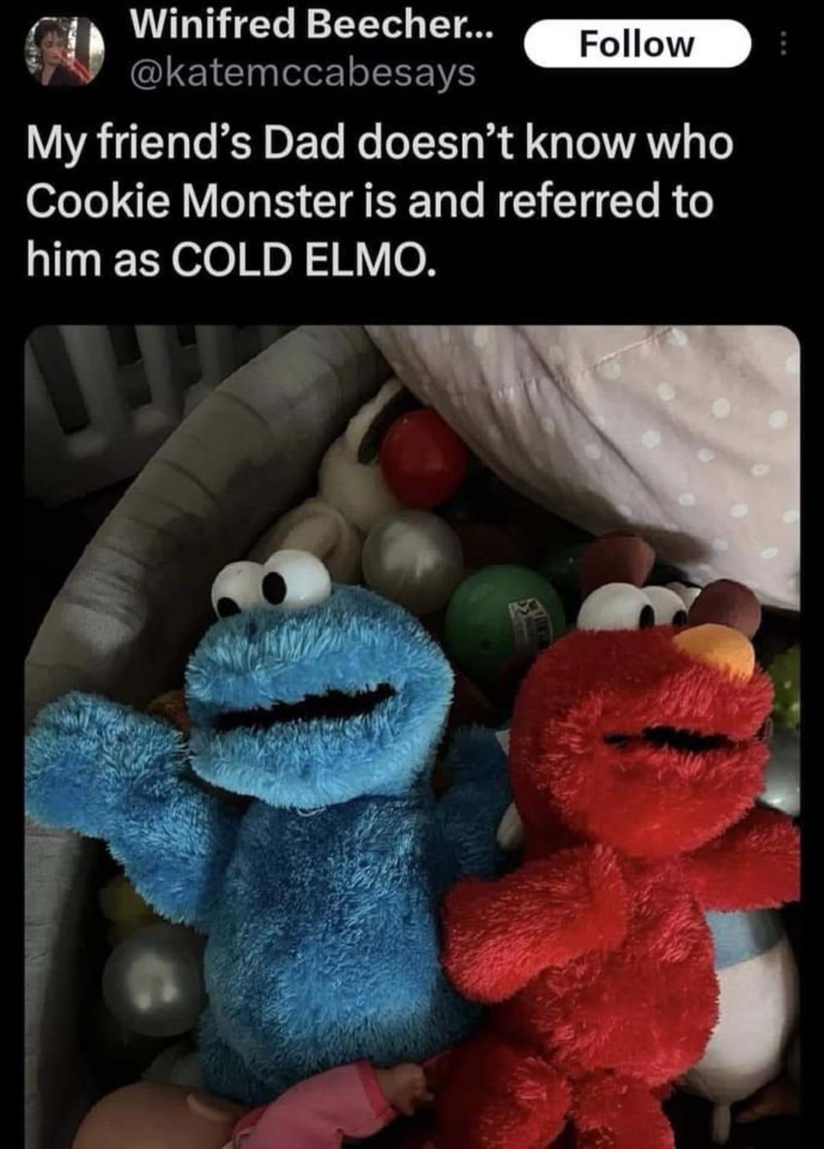 my friends dad doesn t know who cookie monster is - Winifred Beecher... My friend's Dad doesn't know who Cookie Monster is and referred to him as Cold Elmo.