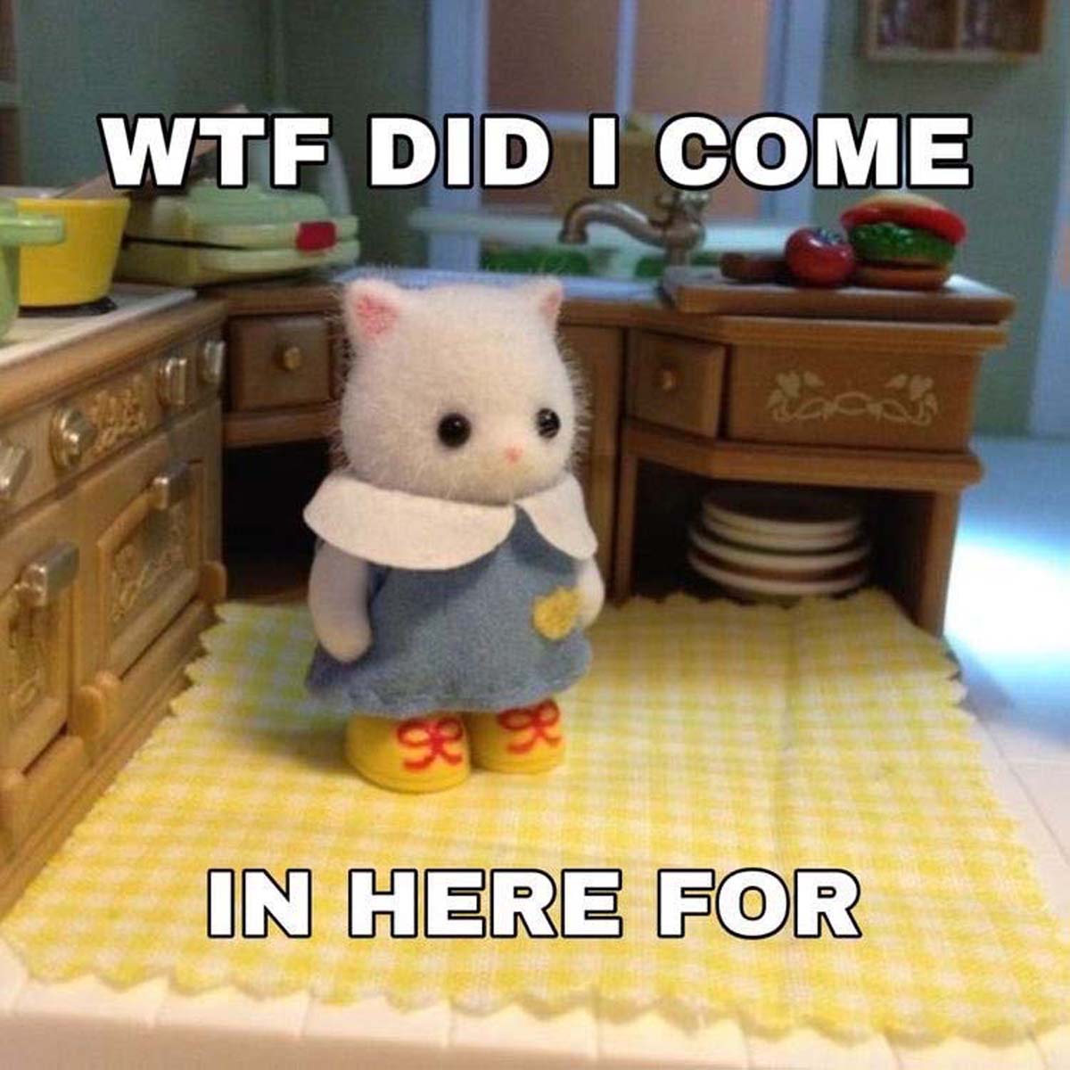 funny calico critters meme - Wtf Did I Come 939 In Here For