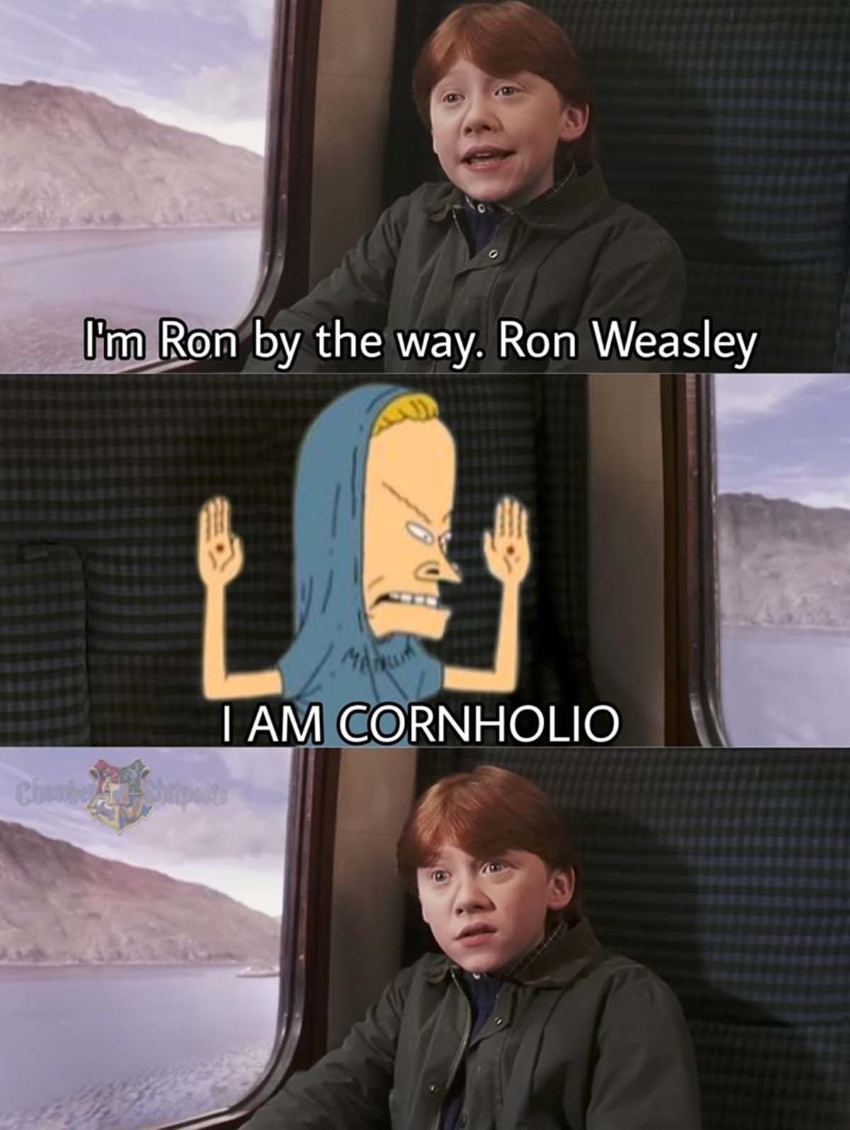 Ron Weasley - I'm Ron by the way. Ron Weasley I Am Cornholio Chambe