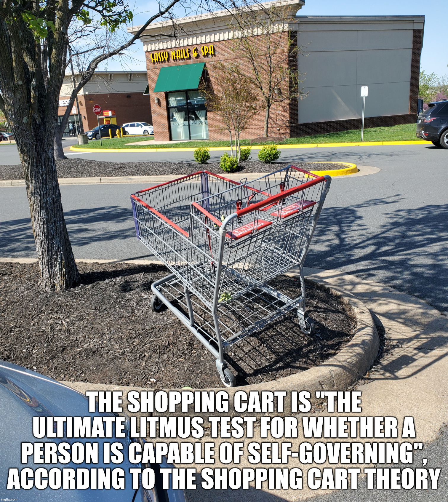 shopping cart - The Shopping Cart Is "The Ultimate Litmus Test For Whether A Person Is Capable Of SelfGoverning", According To The Shopping Cart Theory