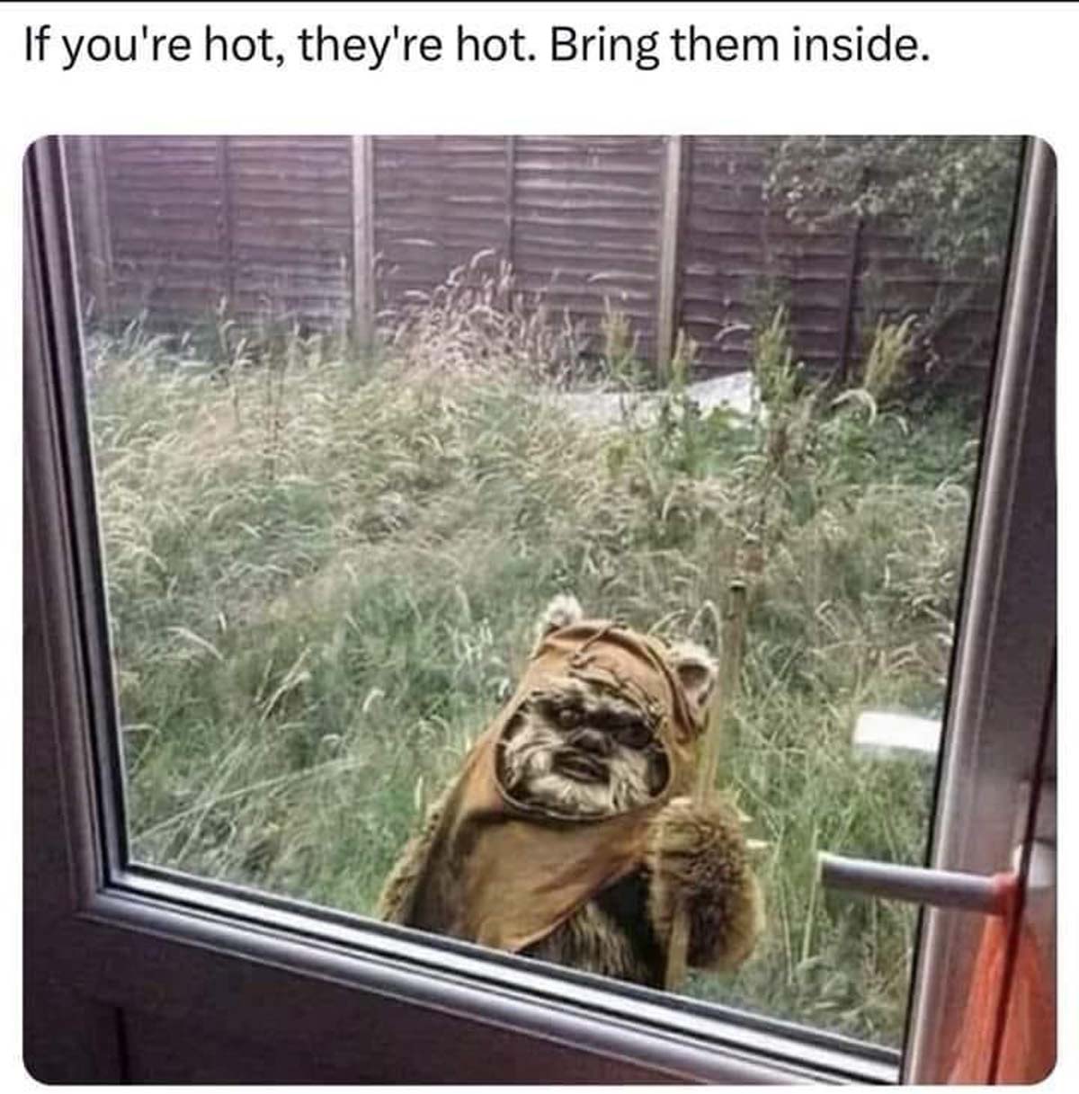 endor star wars meme - If you're hot, they're hot. Bring them inside.