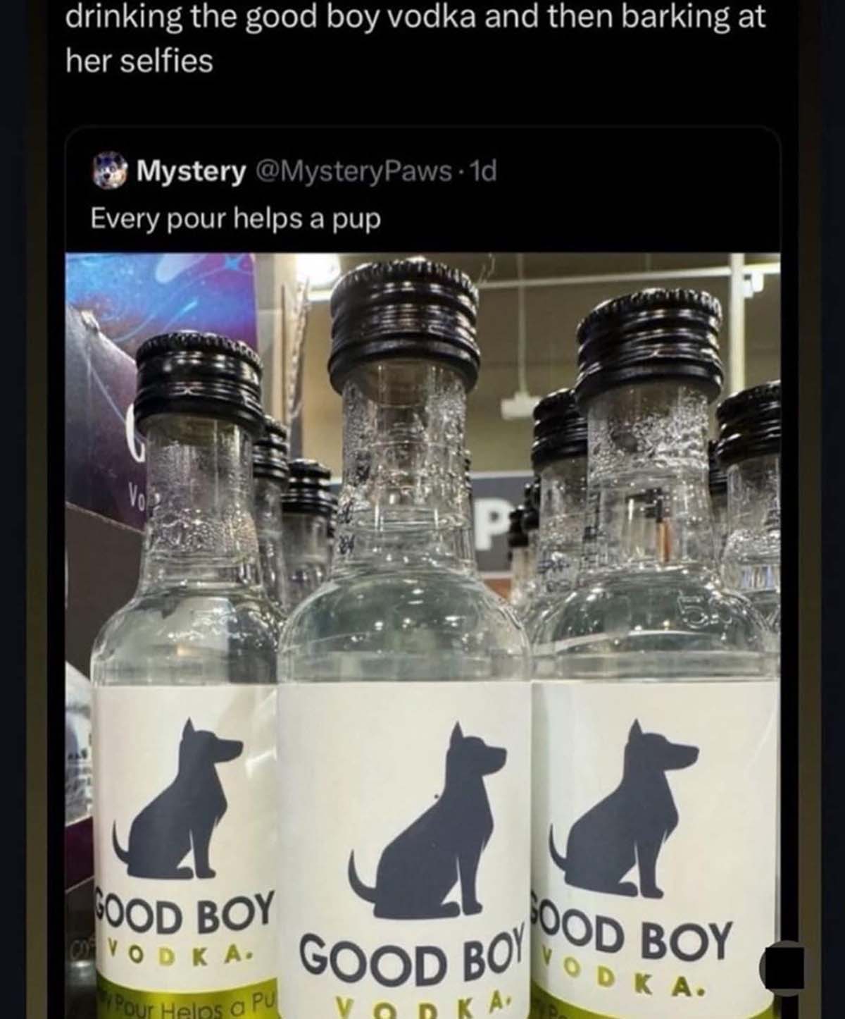 glass bottle - drinking the good boy vodka and then barking at her selfies Mystery Paws. 1d Every pour helps a pup Vo P Good Boy Yod Ka Good Boy Pour Helps a Pu Vorka Ood Boy Vodka.
