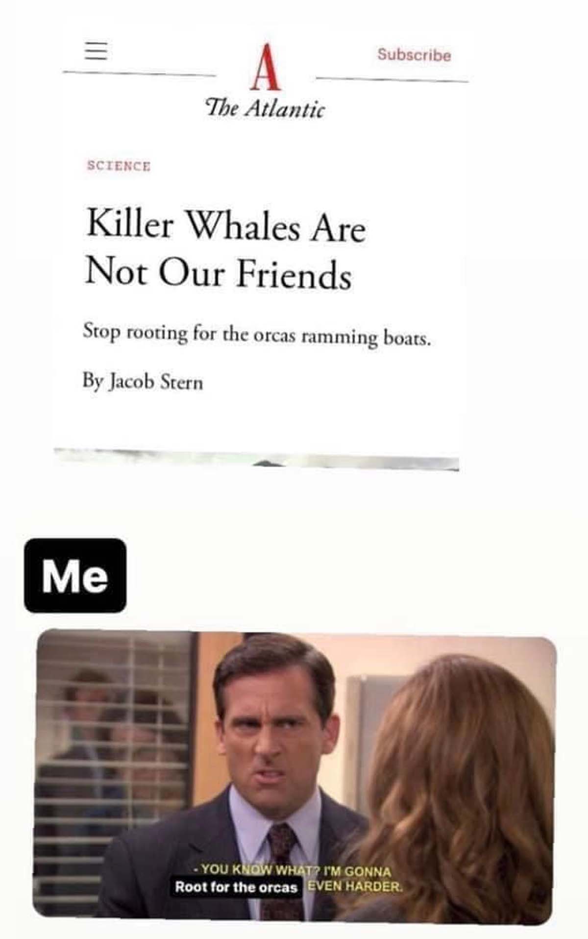 i m gonna start dating her even harder - Science A The Atlantic Subscribe Killer Whales Are Not Our Friends Stop rooting for the orcas ramming boats. By Jacob Stern Me You Know What? I'M Gonna Root for the orcas Even Harder.