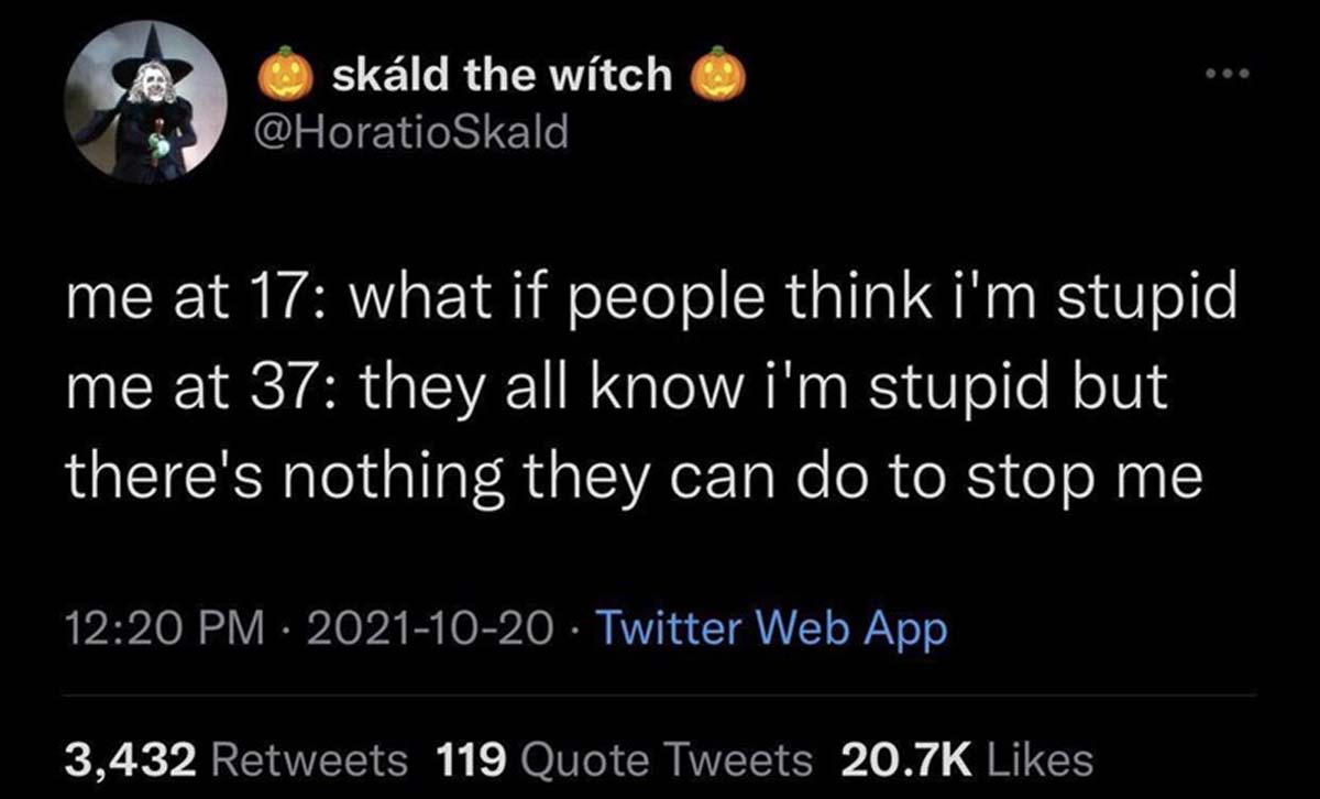 screenshot - skld the witch 600 me at 17 what if people think i'm stupid me at 37 they all know i'm stupid but there's nothing they can do to stop me Twitter Web App 3,432 119 Quote Tweets
