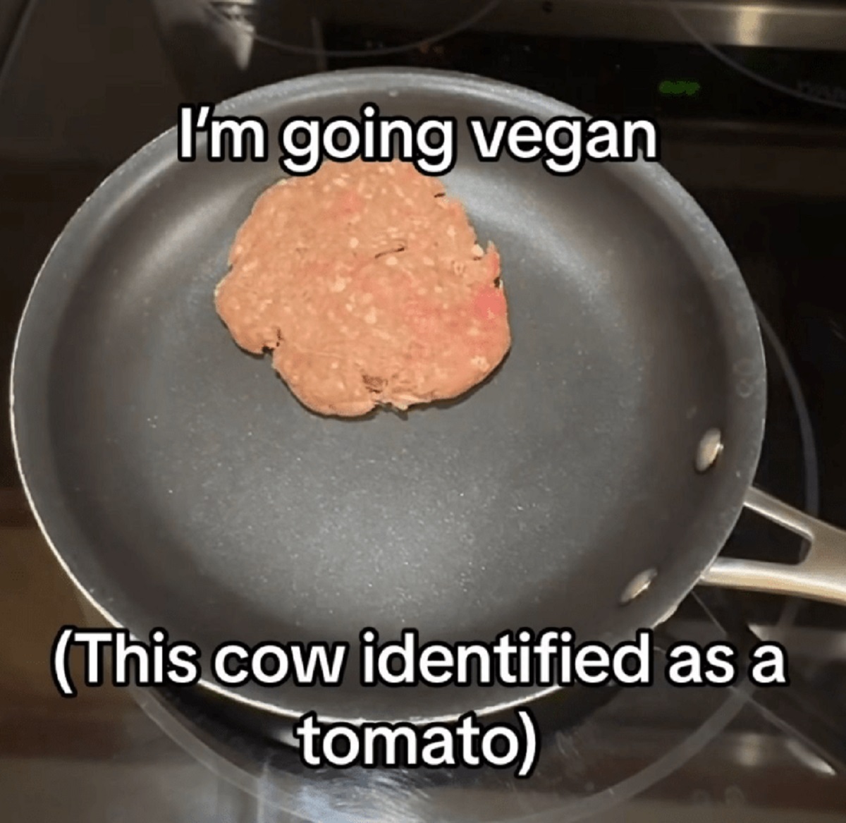 patty - I'm going vegan This cow identified as a tomato