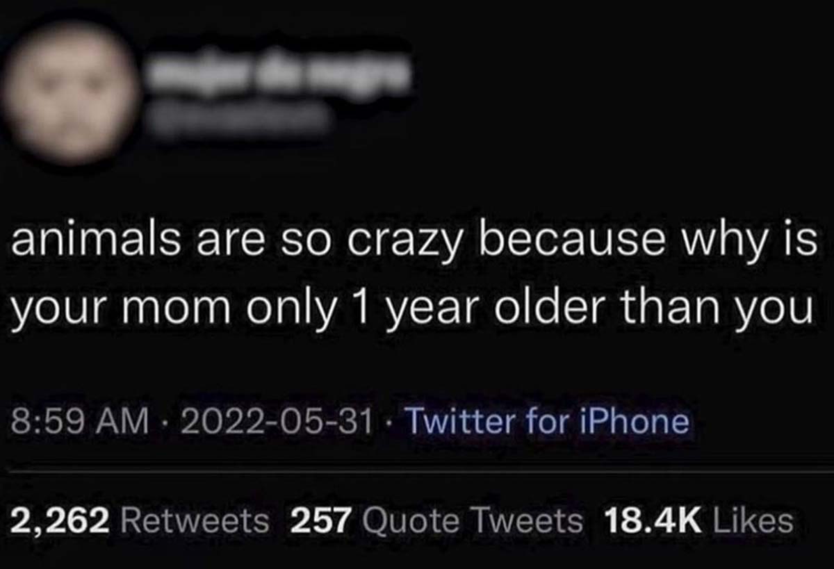 screenshot - animals are so crazy because why is your mom only 1 year older than you Twitter for iPhone 2,262 257 Quote Tweets