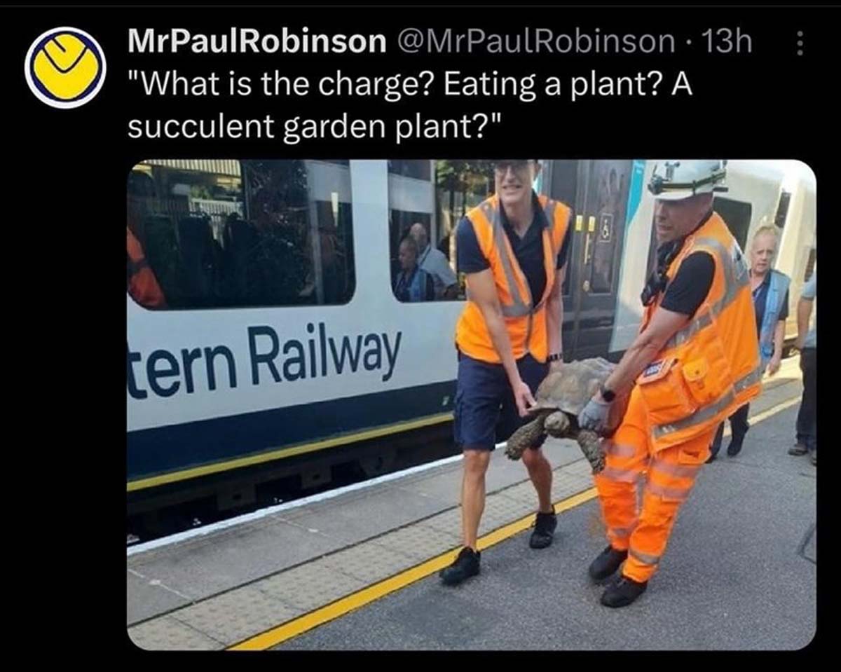 Train - MrPaulRobinson 13h "What is the charge? Eating a plant? A succulent garden plant?" tern Railway