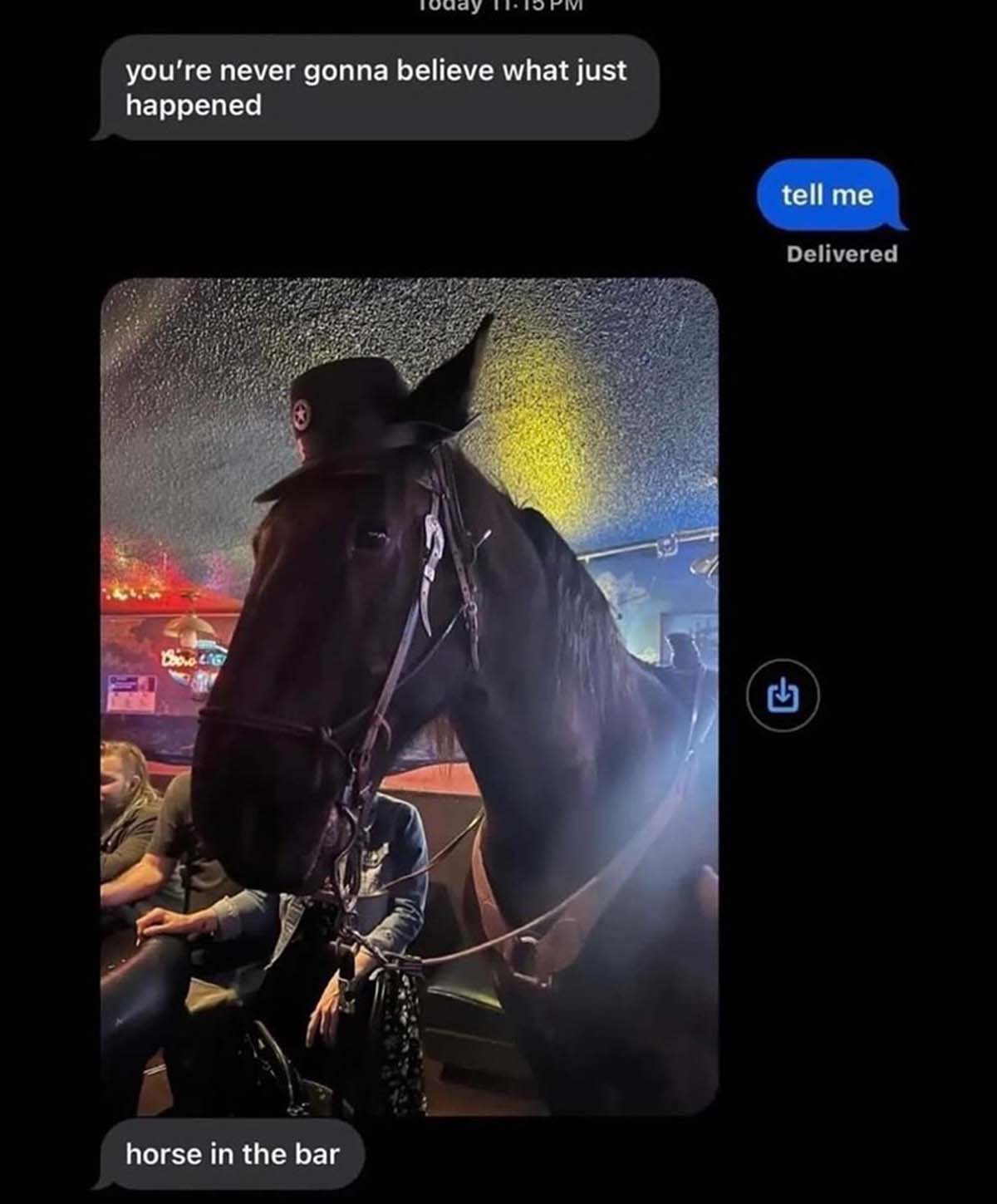 horse in the bar meme - you're never gonna believe what just happened horse in the bar tell me Delivered