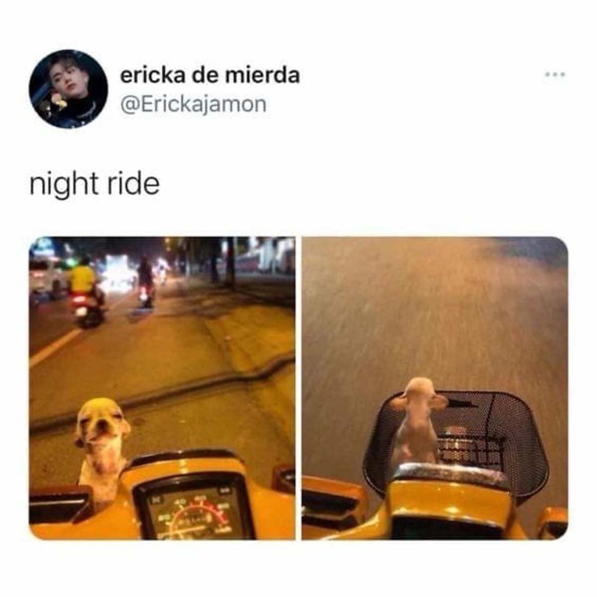 curb - ericka de mierda night ride