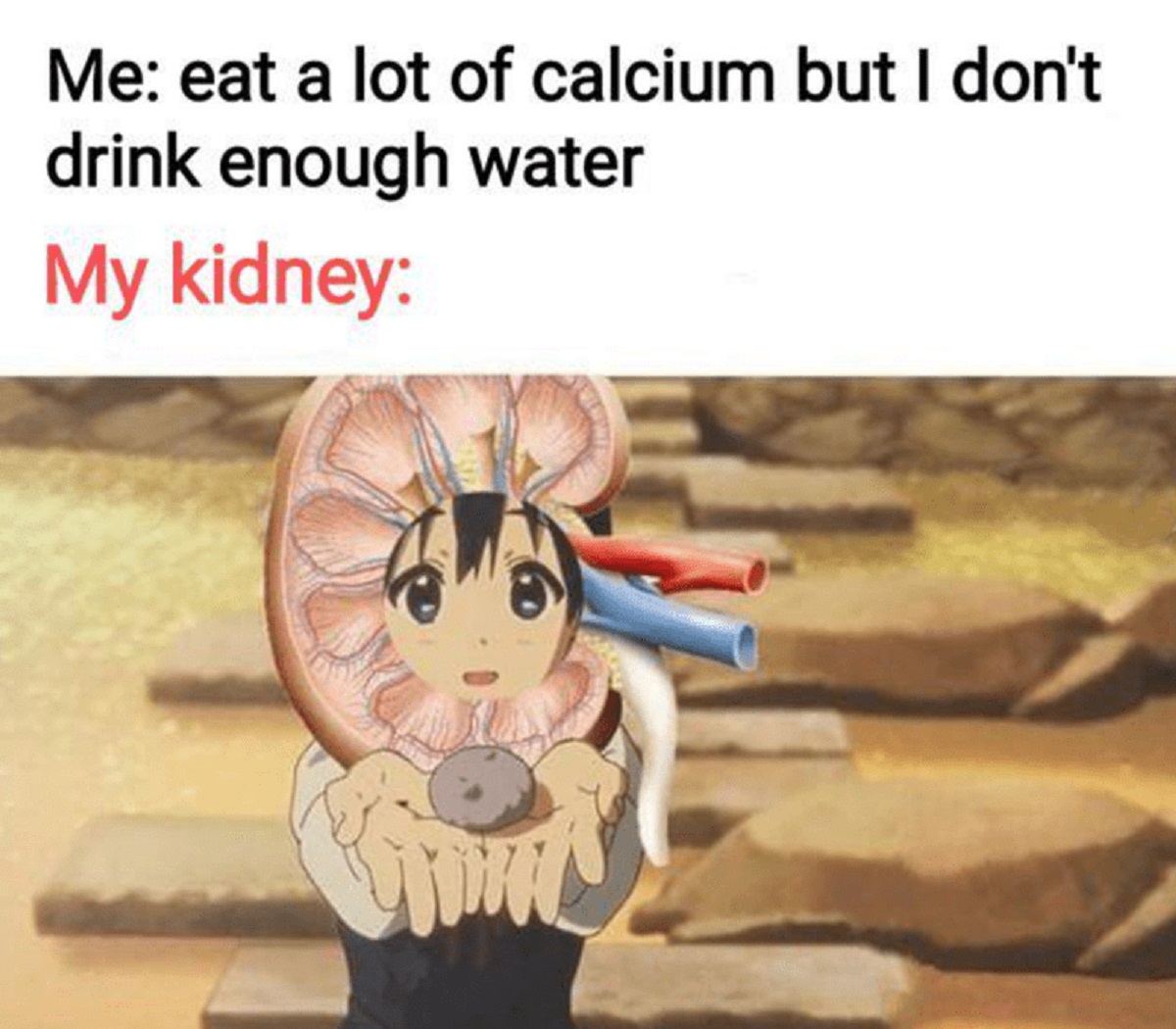 drinking water meme kidneys - Me eat a lot of calcium but I don't drink enough water My kidney