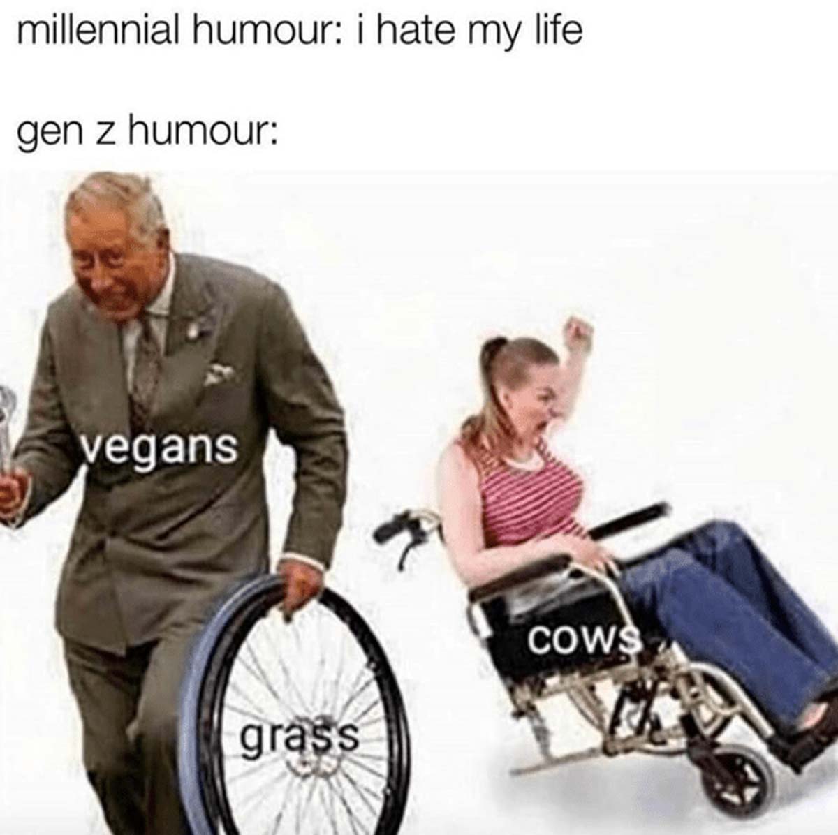 country road take me home meme - millennial humour i hate my life gen z humour vegans grass Cows