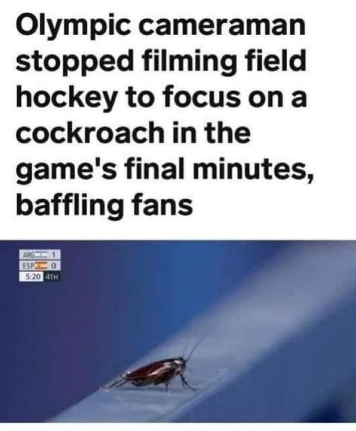 Internet meme - Olympic cameraman stopped filming field hockey to focus on a cockroach in the game's final minutes, baffling fans Arg Espo 4TH