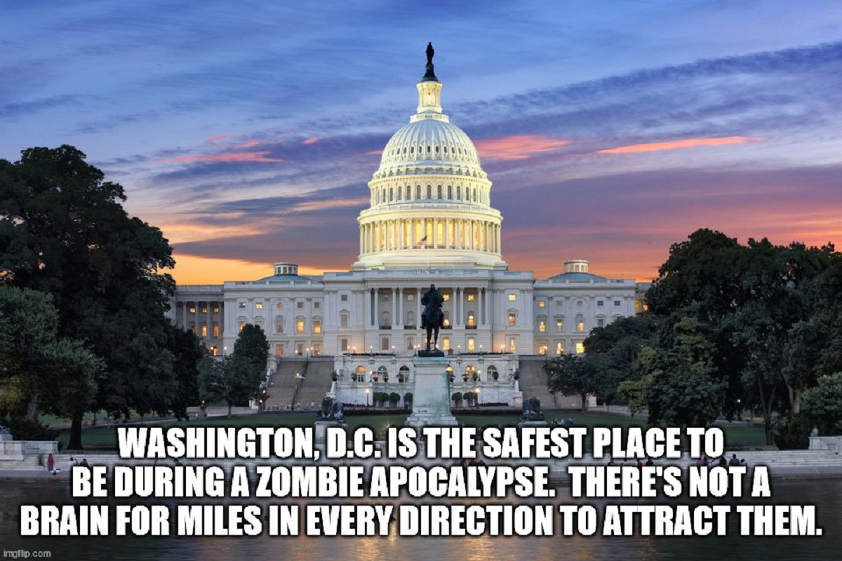 shower thoughts - washington dc professional - Washington, D.C. Is The Safest Place To Be During A Zombie Apocalypse. There'S Not A Brain For Miles In Every Direction To Attract Them. imgflip.com