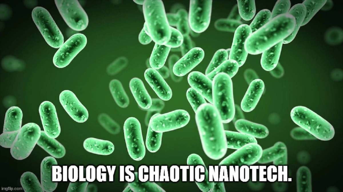 shower thoughts - alicyclobacillus acidoterrestris - 300 imgflip.com 06 Biology Is Chaotic Nanotech.