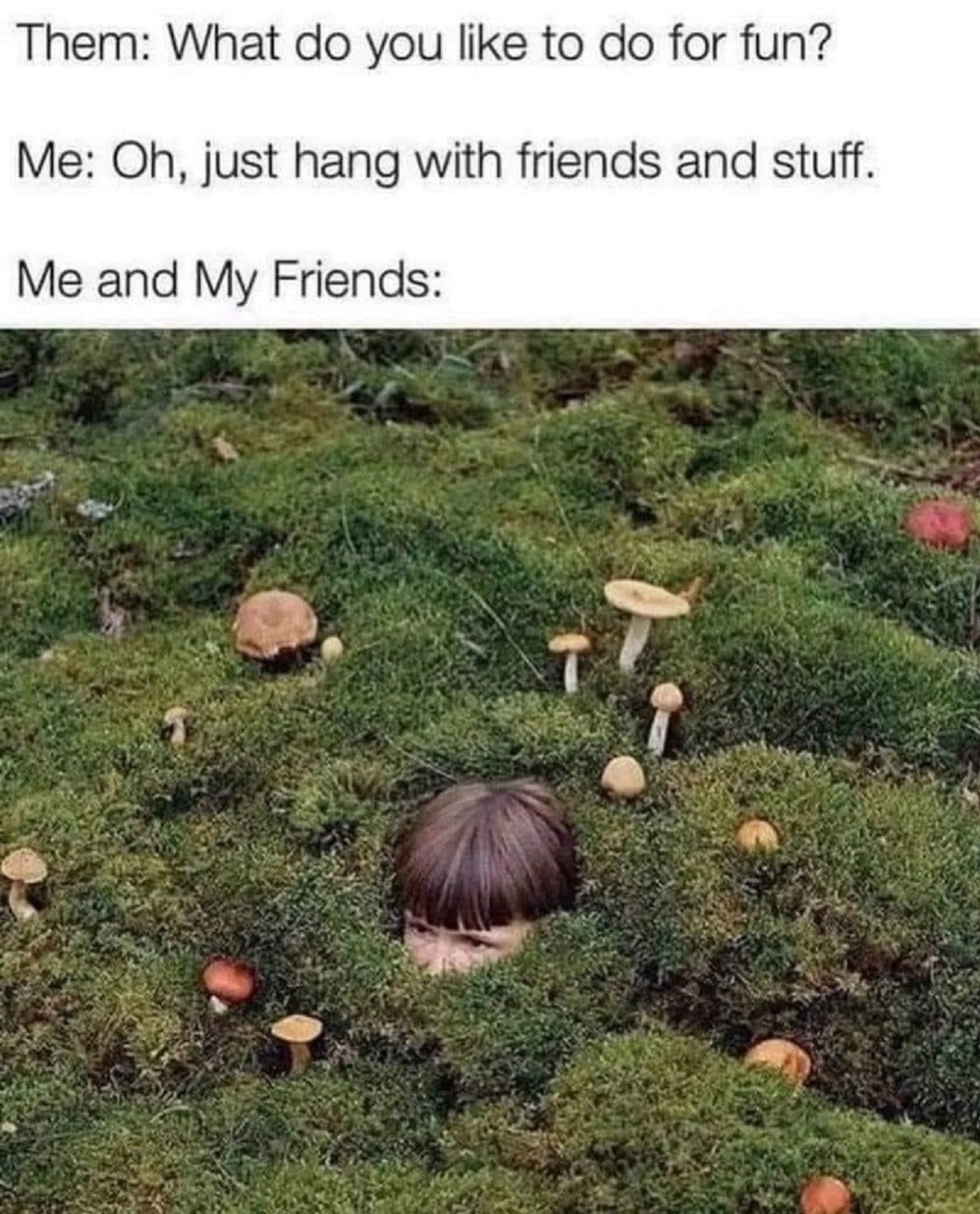 mycology memes - Them What do you to do for fun? Me Oh, just hang with friends and stuff. Me and My Friends